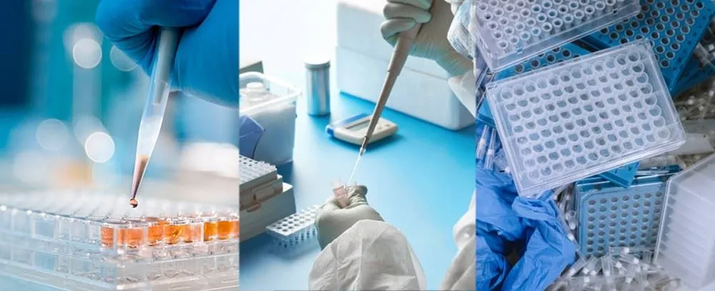 96 wells PCR plate applications